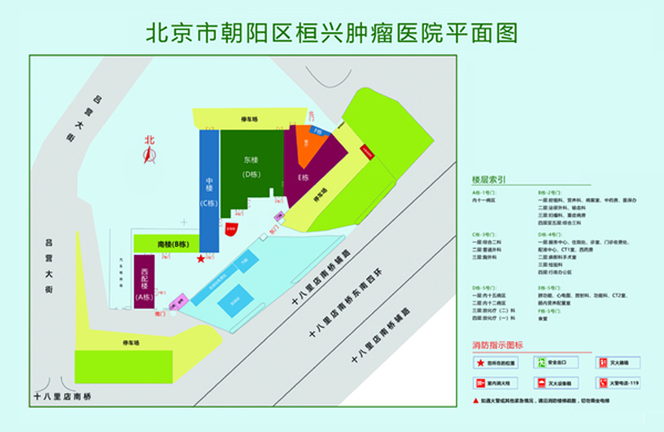 啊‘大鸡’好爽视频北京市朝阳区桓兴肿瘤医院平面图